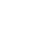 Food Connection